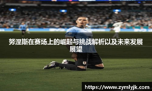 努涅斯在赛场上的崛起与挑战解析以及未来发展展望